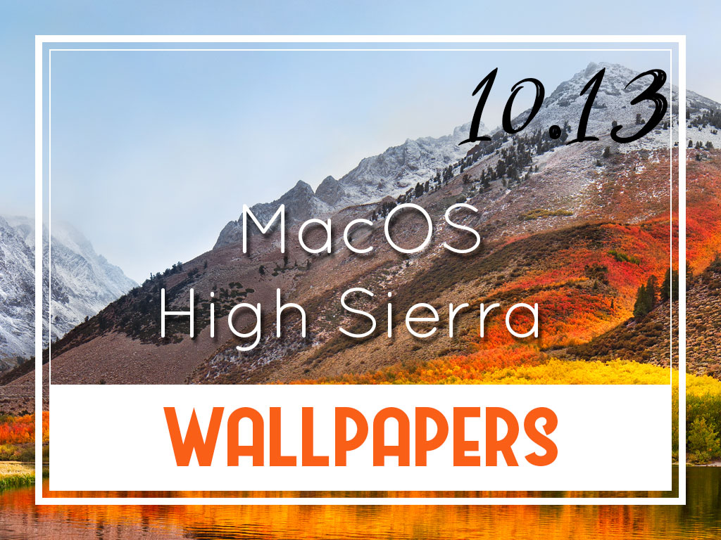 download microsoft word for mac high sierra