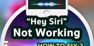 Hey Siri Not Working Quick Fixes Hey Siri Not Working Quick Fixes