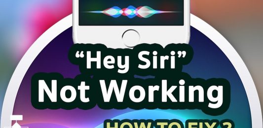Hey Siri Not Working Quick Fixes Hey Siri Not Working Quick Fixes