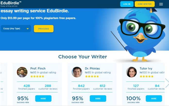 custom essay service ltd