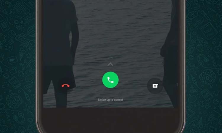 You cannot make voice calls to your contact