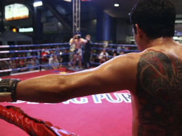 7 apps to watch boxing on your mobile for free online and live