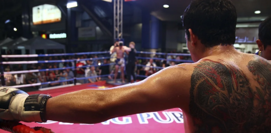 17 Apps To Watch Boxing On Your Mobile For Free, Online And Live 7 apps to watch boxing on your mobile for free online and live