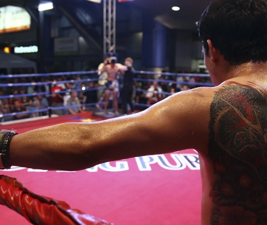 7 apps to watch boxing on your mobile for free online and live