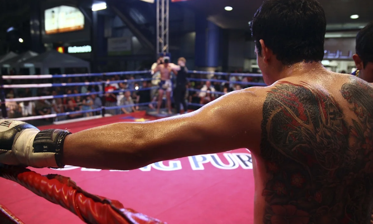 7 apps to watch boxing on your mobile for free online and live