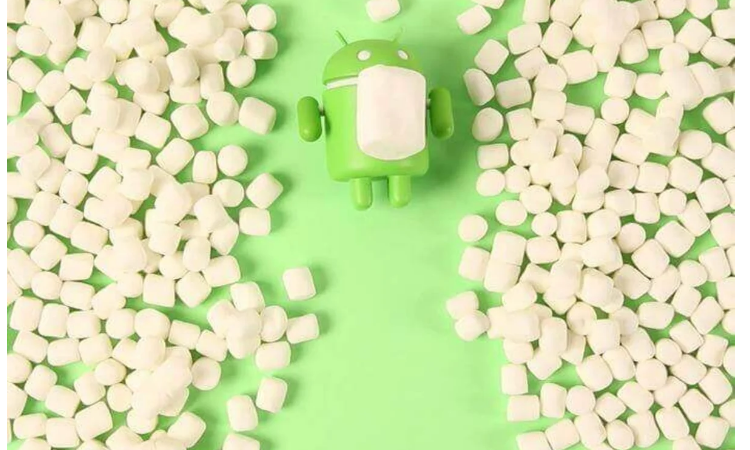 A partir de Android 6.0 Marshmallow