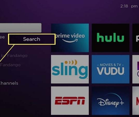 How to Get Discovery Plus On Roku: 2022 Complete Guide How to Get Discovery Plus On Roku