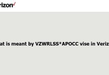 What is meant by VZWRLSS*APOCC vise in Verizon? What is meant by VZWRLSS*APOCC vise in Verizon?