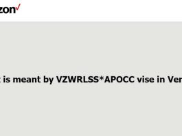 What is meant by VZWRLSS*APOCC vise in Verizon?