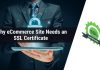 B2B Ecommerce Website Need an SSL Certificate
