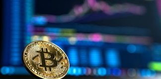 Adding Flavor to Your Portfolio: Why BurgerCoin Is Worth Considering Choosing A Reputable Crypto Exchange