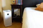 Best Air Purifiers: Which One To Buy And 11 Recommended Models From Less Than 100 Euros To 700 Euros