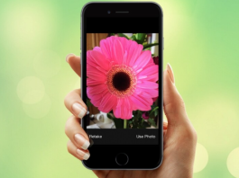 9 applications to identify plants with your mobile