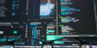 Starting a Career as a Web Developer Starting a Career as a Web Developer