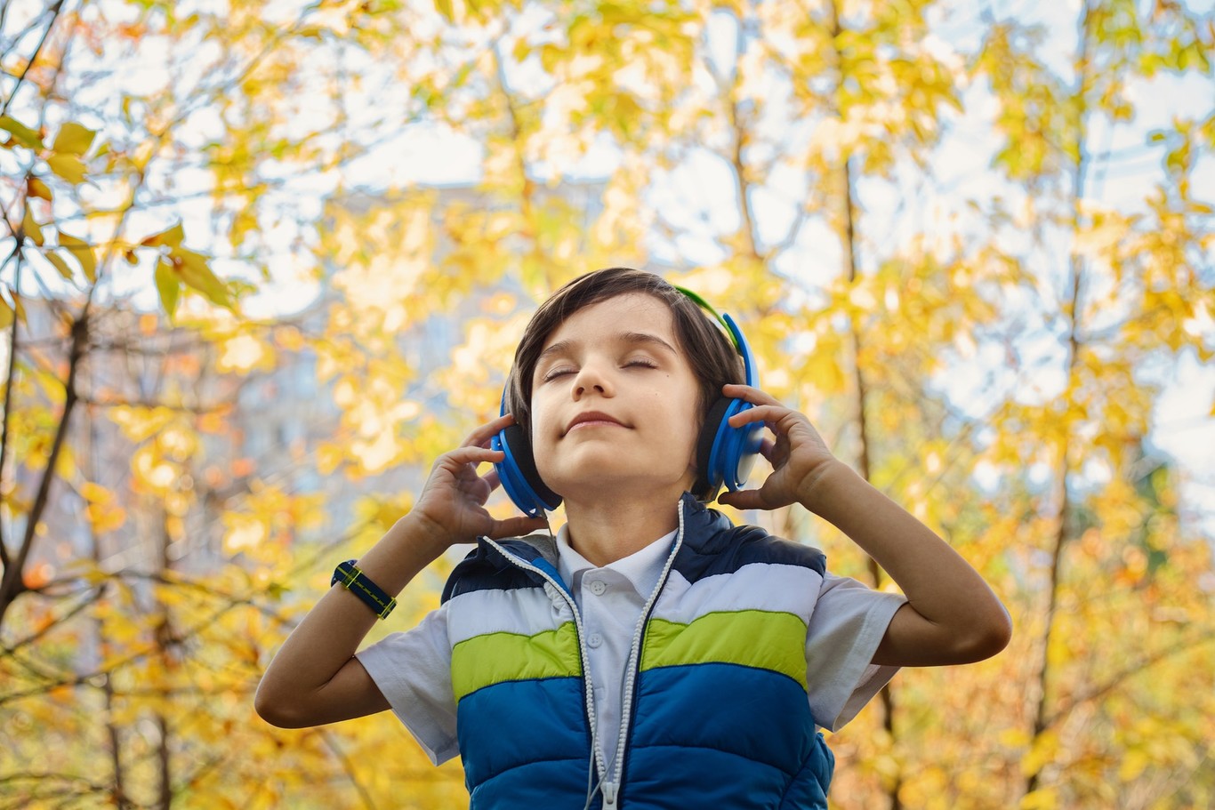 Which children's headphones to buy the importance of volume limitation and featured models